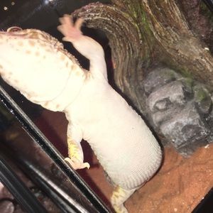 Meet your Posher, Aleiah